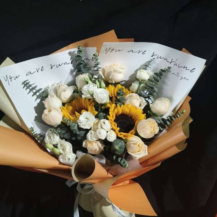 ���ݺ��������