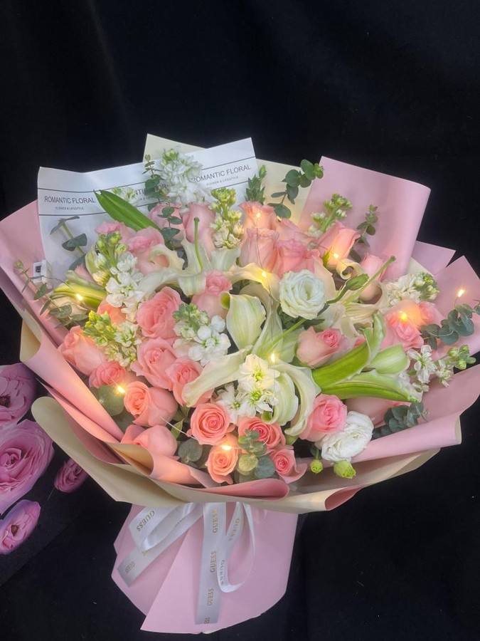 ���ݺ��������