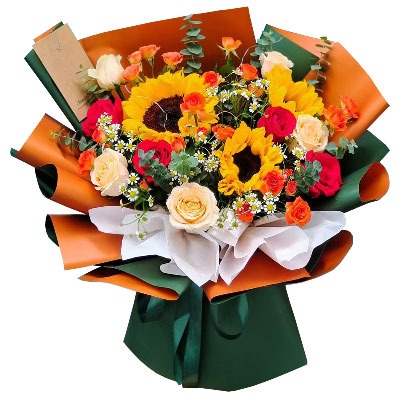 ���ݺ��������